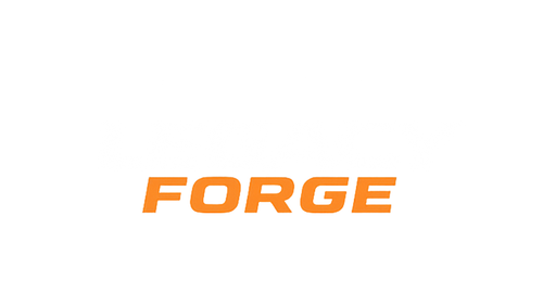 Legacy Forge Boxing